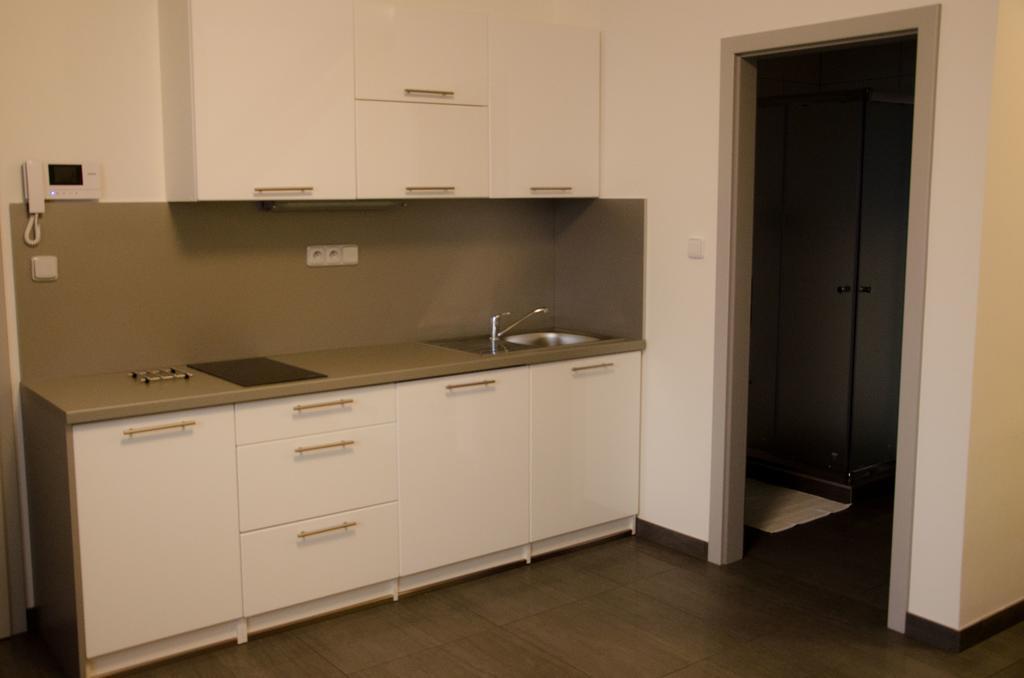 Apartment Lidicka Slavkov, 4 Person スラフコフ・ウ・ブルナ エクステリア 写真